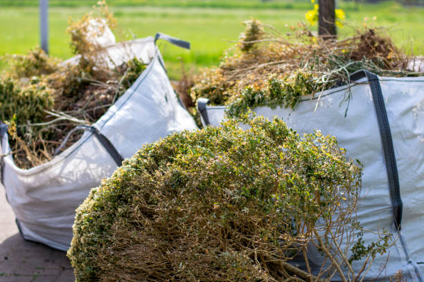 Best Estate Cleanout  in Lena, IL