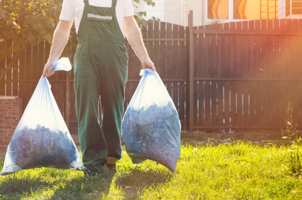 Best Same-Day Junk Removal Services  in Lena, IL